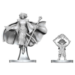 D&D Nolzur's Marvelous Miniatures: Gnome Warlock & Aasimar Wizard