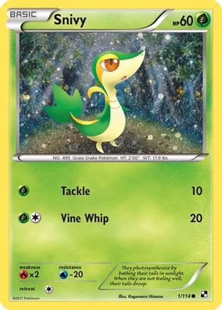 Snivy (1/114) (Cosmos Holo) [Black & White: Base Set]-1