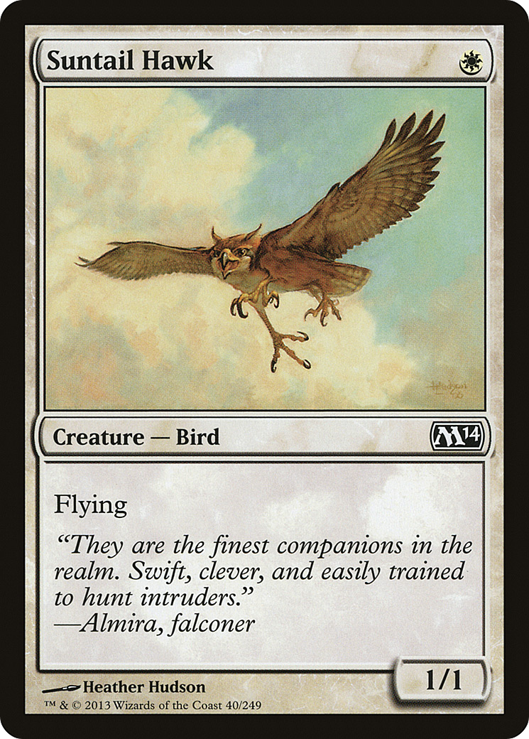 Suntail Hawk [Magic 2014]-1