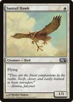 Suntail Hawk [Magic 2014]-1