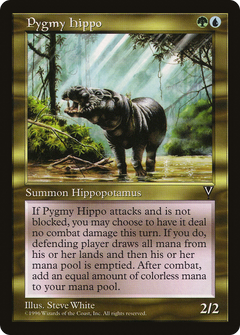 Pygmy Hippo [Visions]-1