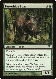Festerhide Boar [Innistrad]-1