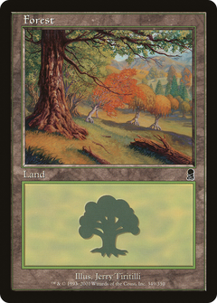 Forest (349) [Odyssey]-1