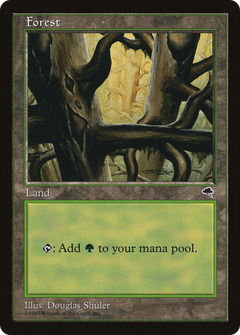 Forest (Black Signature) [Tempest]-1