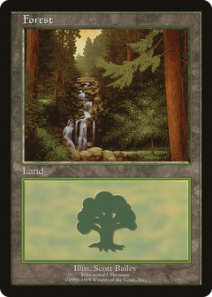 Forest (1) [European Land Program]-1