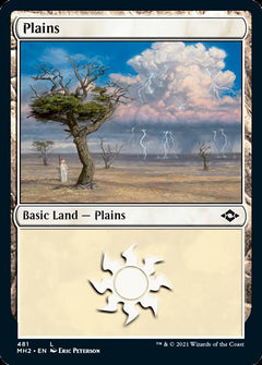 Plains (481) (Foil Etched) [Modern Horizons 2]-1