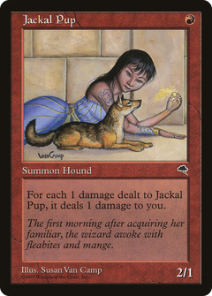 Jackal Pup [Tempest]-1