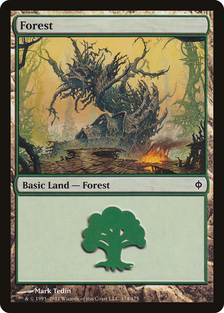 Forest (174) [New Phyrexia]-1