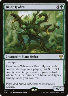 Briar Hydra [Dominaria United]-1