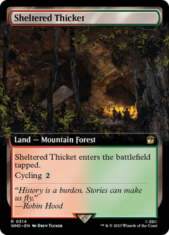 Sheltered Thicket (Extended Art) [Doctor Who]-1
