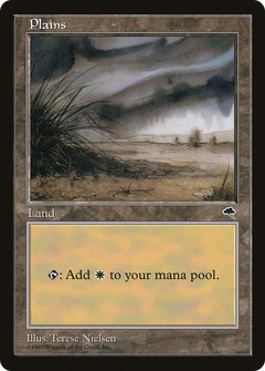 Plains (Signature on Center Left) [Tempest]-1