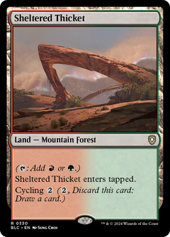Sheltered Thicket [Bloomburrow Commander]-1