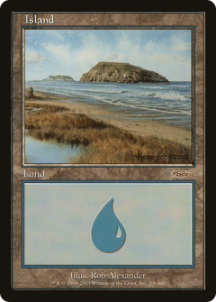 Island (2) [Arena League 2003]-1