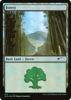 Forest (Walls) (577) [Secret Lair Drop Promos]-1