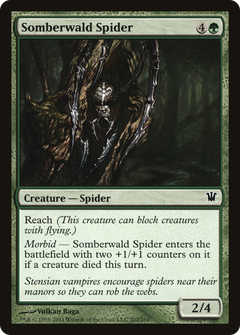 Somberwald Spider [Innistrad]-1