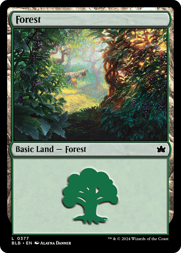 Forest (0377) [Bloomburrow]-1