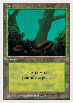 Forest (304) [Summer Magic / Edgar]-1