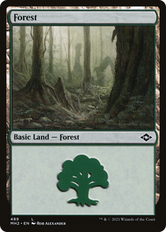 Forest (489) (MH2-489) - Modern Horizons 2 Etched Foil-1