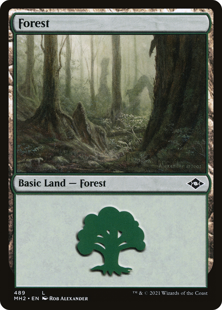 Forest (489) (MH2-489) - Modern Horizons 2 Etched Foil-1
