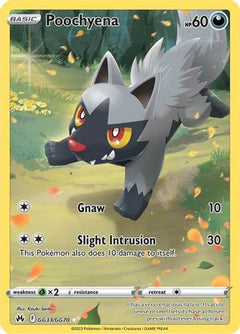 Poochyena (GG33/GG70) [Sword & Shield: Crown Zenith]-1