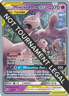 Mewtwo & Mew GX (71/236) (Perfection - Henry Brand) [World Championships 2019]-1