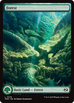 Forest (0276) [Tarkir: Dragonstorm]-1