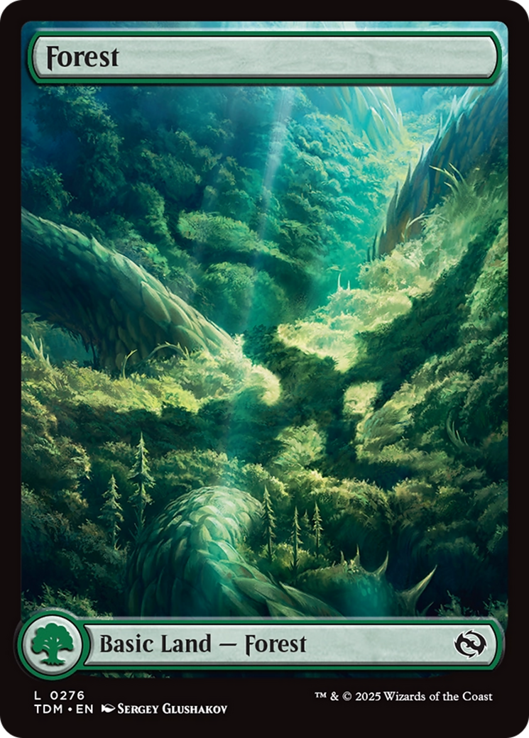 Forest (0276) [Tarkir: Dragonstorm]-1