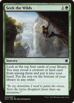 Seek the Wilds [Game Night 2018]-1