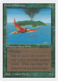 Birds of Paradise [Unlimited Edition]-1