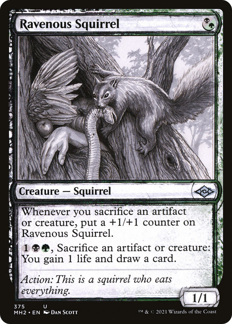 Ravenous Squirrel (Sketch) [Modern Horizons 2]-1