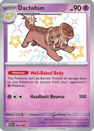 Dachsbun (161/091) [Scarlet & Violet: Paldean Fates]-1