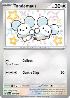 Tandemaus (209/091) [Scarlet & Violet: Paldean Fates]-1