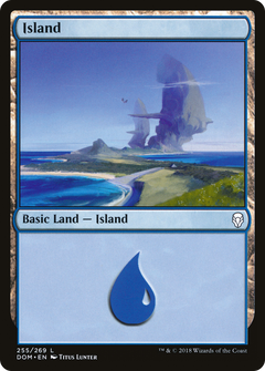 Island (255) [Dominaria]-1
