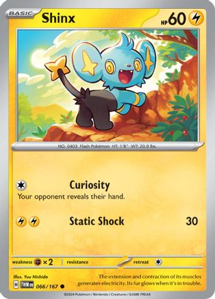 Shinx (066/167) [Scarlet & Violet: Twilight Masquerade]-1