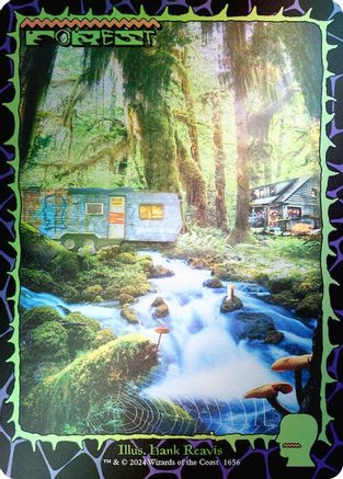 Forest (1656) (Rainbow Foil) [Secret Lair Drop Series]-1