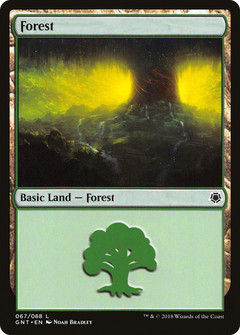 Forest (67) [Game Night 2018]-1