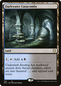 Darkwater Catacombs [Dungeons & Dragons: Adventures in the Forgotten Realms Commander]-1
