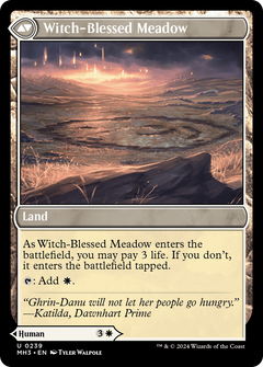 Witch Enchanter // Witch-Blessed Meadow [Modern Horizons 3]-2