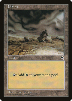 Plains (Black Signature on White Background) [Tempest]-1