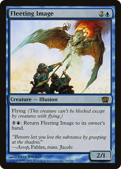 Fleeting Image [Eighth Edition]-1