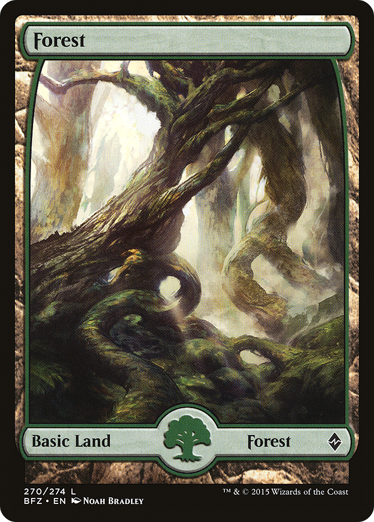 Forest (270) (Full Art) [Battle for Zendikar]-1