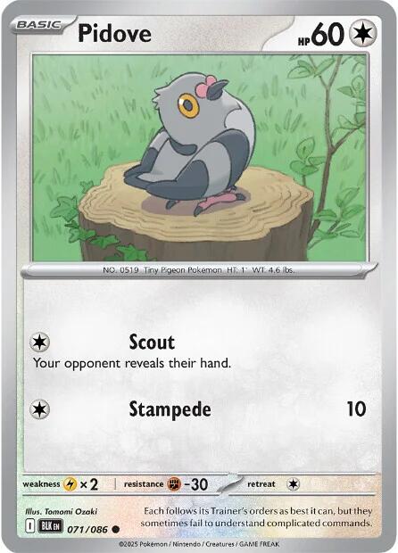 Pidove (071/086) [Scarlet & Violet: Black Bolt]-1