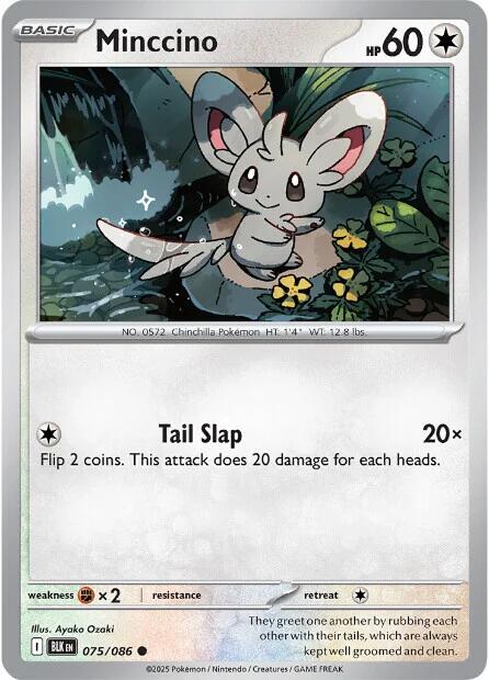 Minccino (075/086) [Scarlet & Violet: Black Bolt]-1