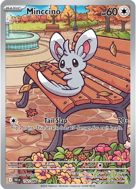 Minccino (152/086) [Scarlet & Violet: Black Bolt]-1