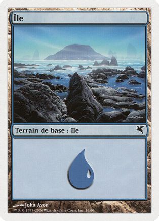 Island (French) - "Ile" (G36) (PSAL-G36) - Magic Encyclopedia 2005 (Salvat/Hachette)-1