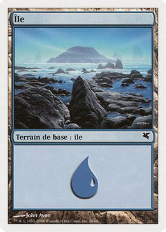 Island (French) - "Ile" (G36) (PSAL-G36) - Magic Encyclopedia 2005 (Salvat/Hachette)-1