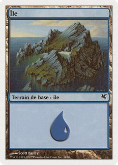 Island (French) - "Ile" (E34) (PSAL-E34) - Magic Encyclopedia 2005 (Salvat/Hachette)-1