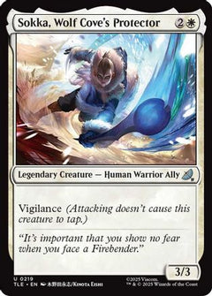 Sokka, Wolf Cove's Protector [Avatar: The Last Airbender: Eternal-Legal]-1