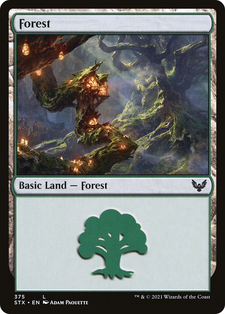 Forest (375) [Strixhaven: School of Mages]-1