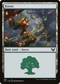 Forest (375) [Strixhaven: School of Mages]-1